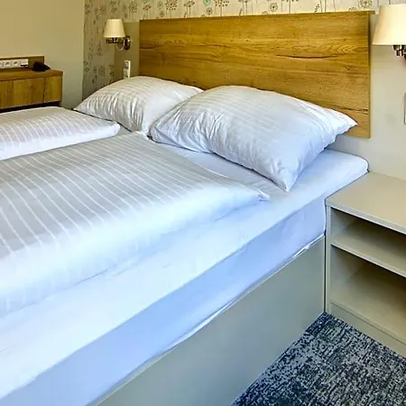 Otel Depandance - Sumava 3*