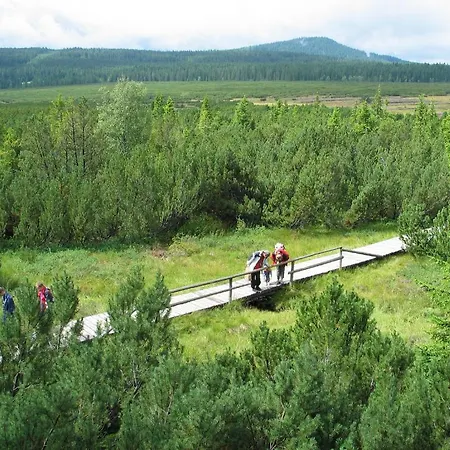 Depandance - šumava 3* Srní