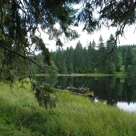 Depandance - šumava 3*