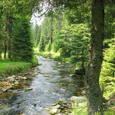 Depandance - šumava Hotel 3*