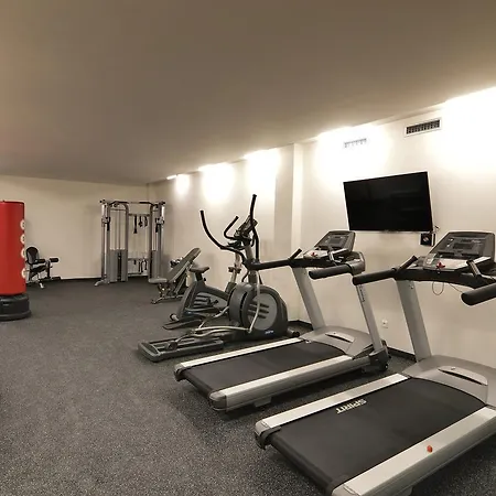 Hotel Depandance - šumava 3*