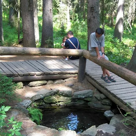 Hotel Depandance - šumava