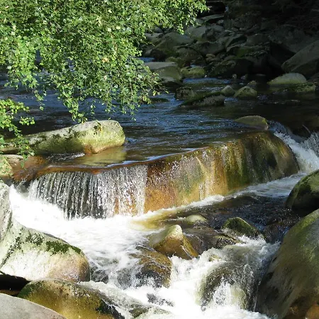 Depandance - šumava 3*