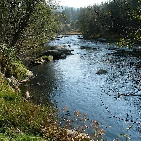 Depandance - šumava