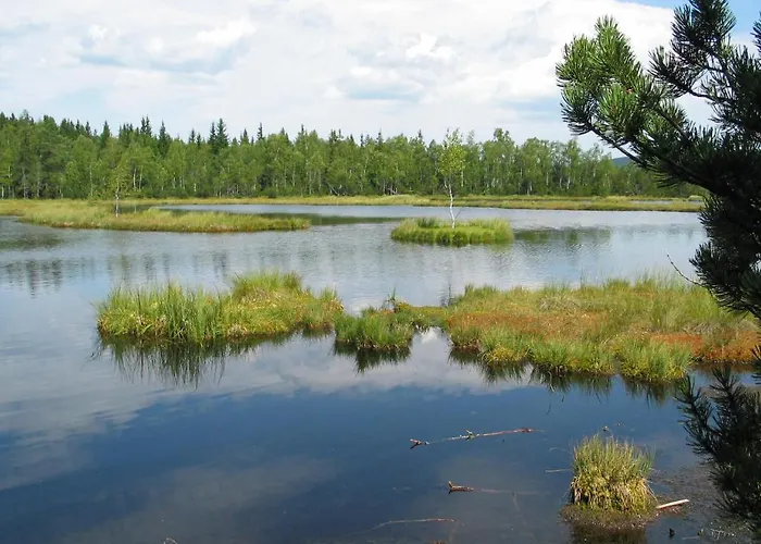 Depandance - Sumava