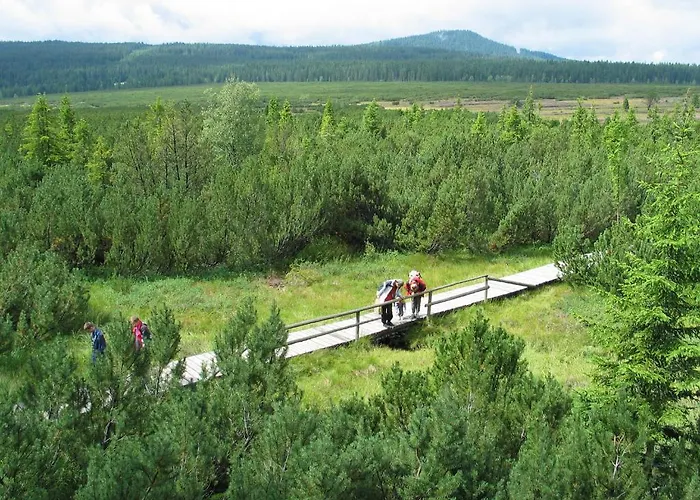 Depandance - Sumava 3* Srní