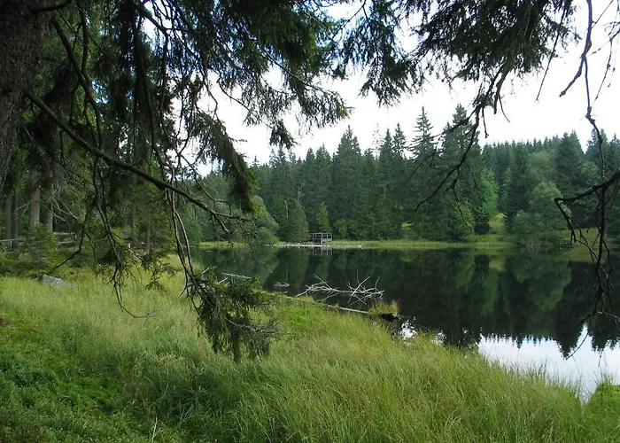 Depandance - Sumava 3*