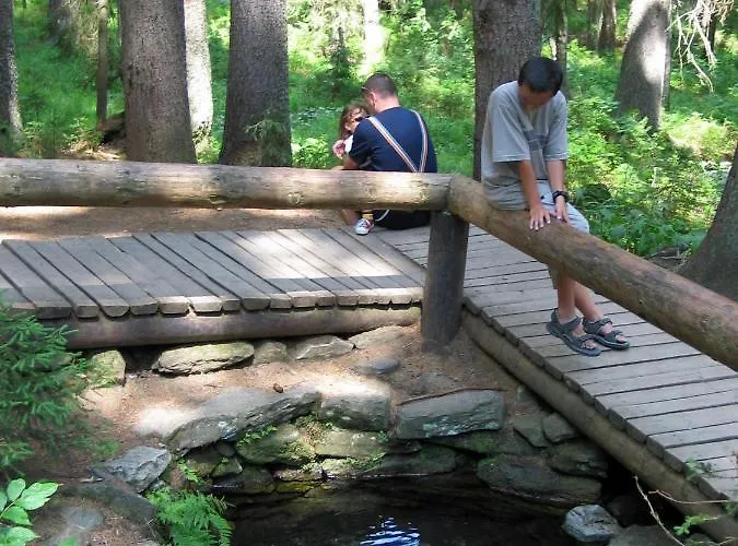 Hotel Depandance - Sumava