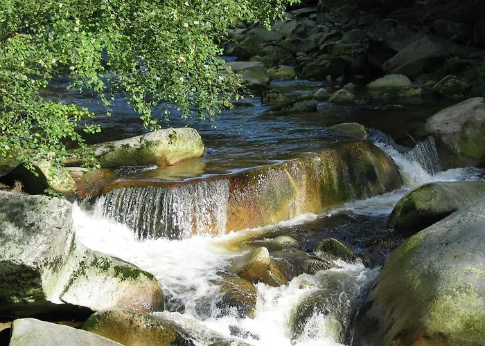 Depandance - Sumava 3*