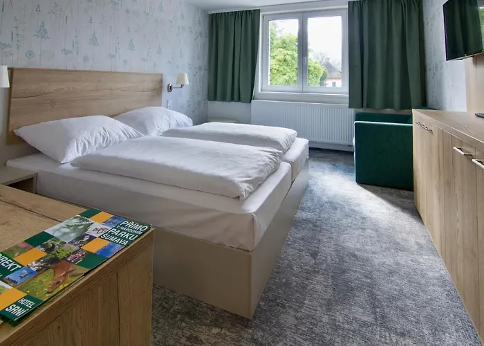 Depandance - Sumava 3* Srní