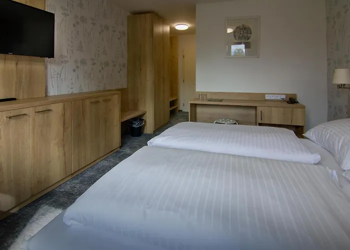 Depandance - Sumava 3* Srní